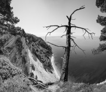 In the Abyss / ***