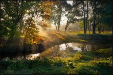 Good morning ... / ***