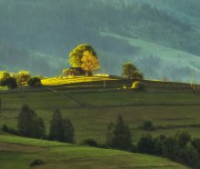 About the lodge, mountain, tree and sun ... / ***