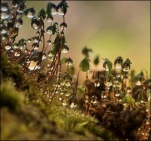 Ein wenig Morgen ... / ***