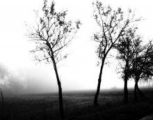 In the mist ... / .....