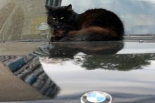 Die Wache BMW / ***
