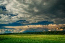 After the storm. / ***