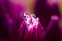 Lights / ***