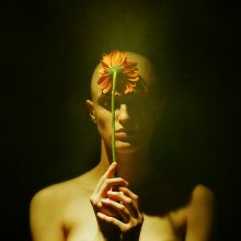 &nbsp; / ***