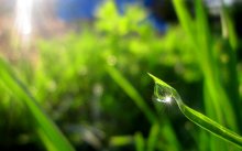 In the morning / .....