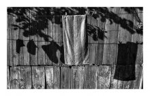 Shadows II / ***
