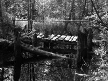Bridge / ***