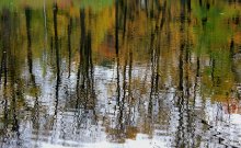 Spiegelung / ***