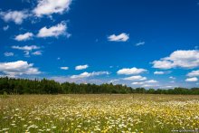 Summer in Paradise / ***