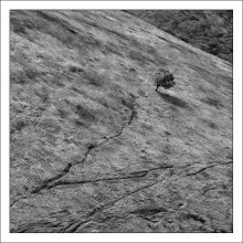 Einsam ... / ***