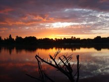 The Scarlet Dawn June / ***