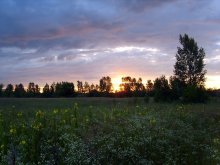 The freshness of the morning of June / ***