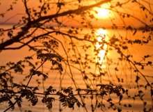 Sunset / ***