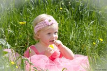The Princess and the grass / ***