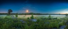 Moonrise / ***