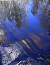 The April reflection. / 888