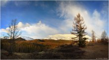 May morning in the Altai Mountains / ***