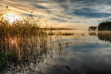 Born of the morning mist / ***