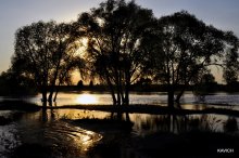 Evening Sonnet / ***