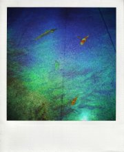 I fish with mail I am sending you a sign / ***