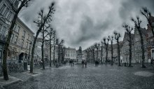 urban area / ***
