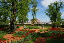 Peterhof / ***