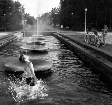 The young dolphin. / ***