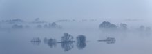 Ghostly all ... / ***