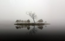 misty island / ***