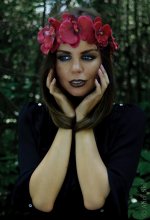 Wild Orchid / ***