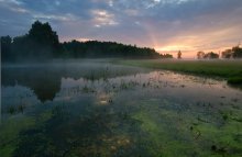 Morning on the Gorely / ***