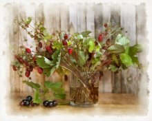 Summer Bouquet / ***
