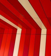 Colored parallels / ***