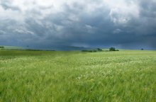 Sound of rain ... / ***