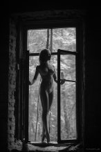 Old window / ***
