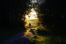 Zeit nach Hause zu gehen / ***