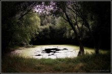 Abstreifen / ***