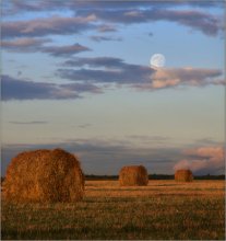 Over the moon / ***