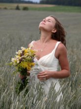 In the summer Poshuk / ***