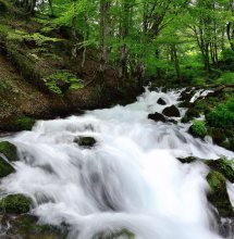 In the outskirts of the Durmitor # 2 / ***