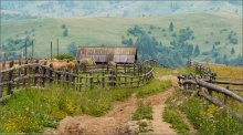 / It's time to hayfields .. /, part II / ***