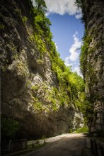 Mountain gorge / ***