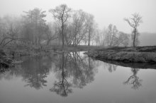 Foggy Day / ***