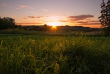 Dawn in the village / ***