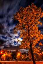 Autumn mood summer night / ***