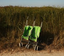 &nbsp; / -----------------