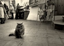 On the morning service / ***