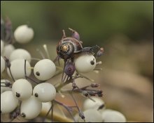 Beautiful and an unexpected love ... / ***