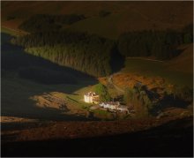 HOMESTEAD ... ... / ***